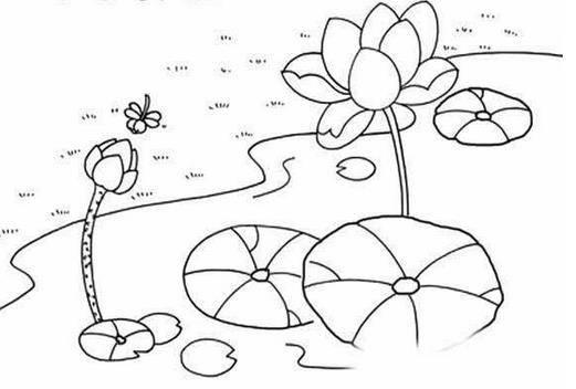 幼儿园夏天简笔画图片大全 幼儿园夏天简笔画图片大全大图