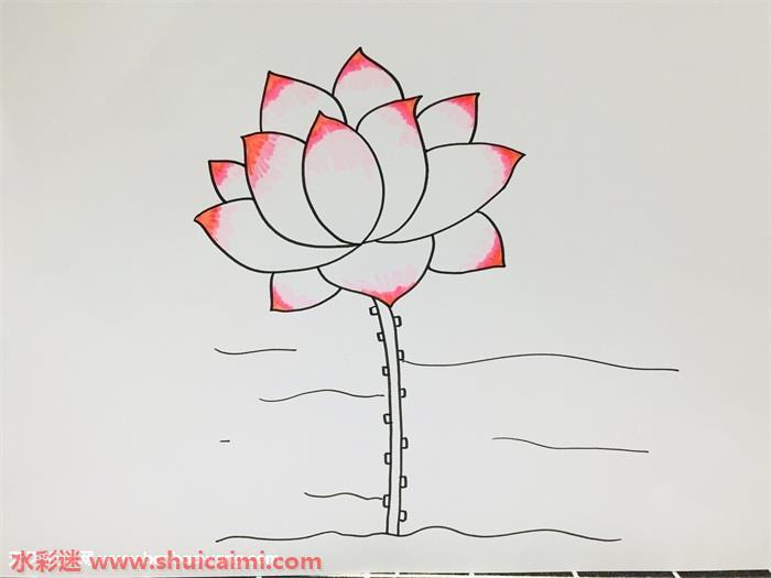 荷花怎么画 简笔画卡通荷花教程步骤