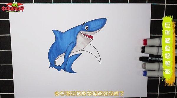 巨型鲨鱼怎么画 巨型鲨鱼简笔画简单又漂亮彩色