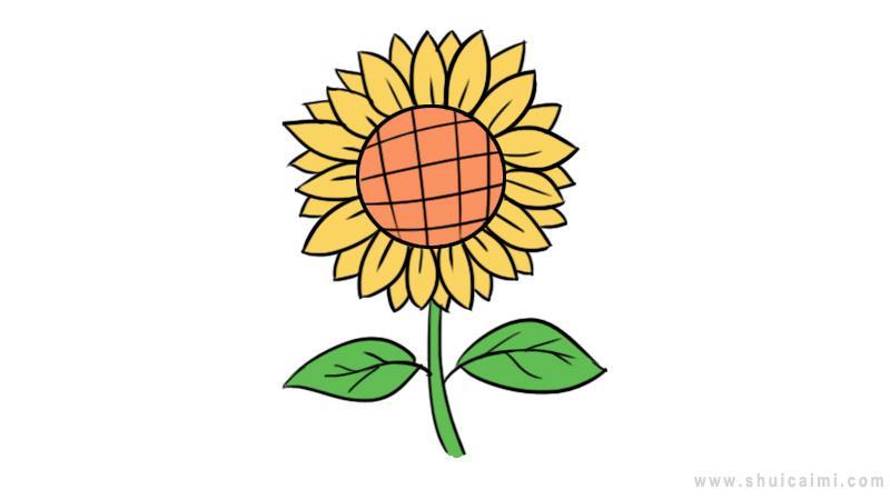 向日葵简笔画怎么画 向日葵简笔画步骤