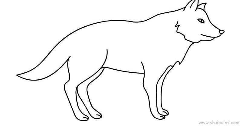 狼儿童画怎么画 狼简笔画图片大全
