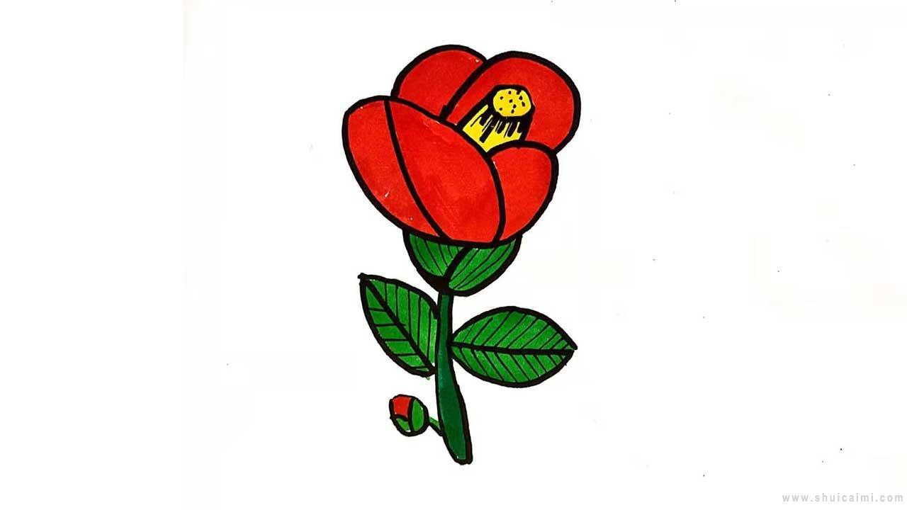 山茶花简笔画怎么画？简单又好看的山茶花简笔画详细教程