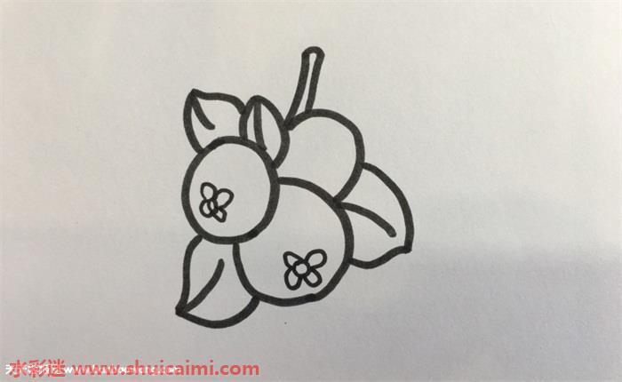 枇杷怎么画 枇杷简笔画简单易画彩色