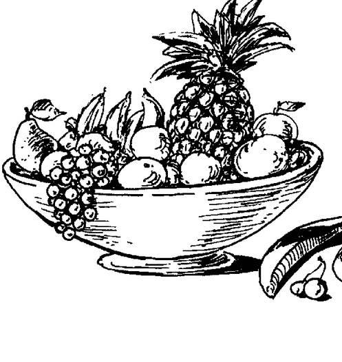 画简笔画 画简笔画小动物