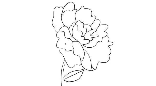 牡丹花的简笔画 牡丹花的简笔画简单漂亮