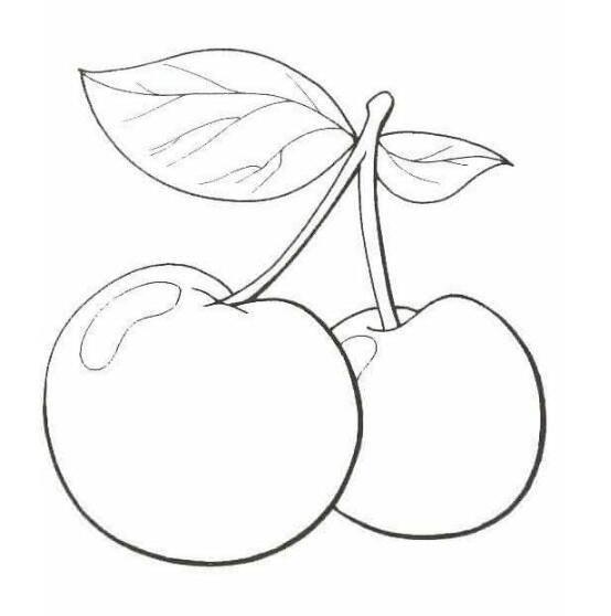 樱桃简笔画图片大全 樱桃简笔画图片大全带颜色