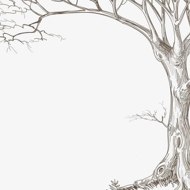 树干简笔画 树干简笔画简单又好看