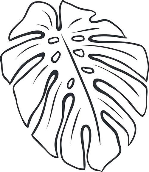 叶子简笔画 叶子简笔画彩色