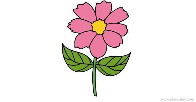 粉色菊花儿童画怎么画 粉色菊花简笔画步骤