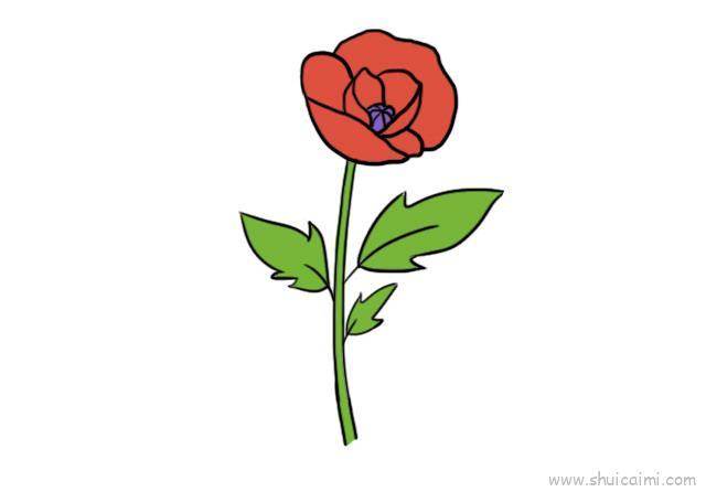 罂栗花儿童画怎么画 罂栗花简笔画好看