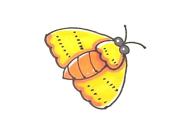 蚕蛾简笔画 蚕蛾简笔画 简单漂亮