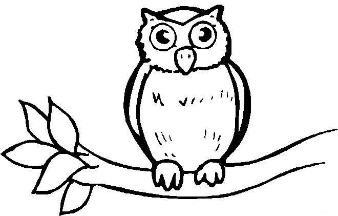 猫头鹰的简笔画图片大全 猫头鹰的简笔画图片大全可爱简单