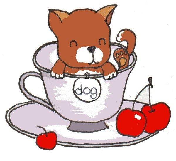 茶杯犬的简笔画怎么画 茶杯犬的简笔画好看