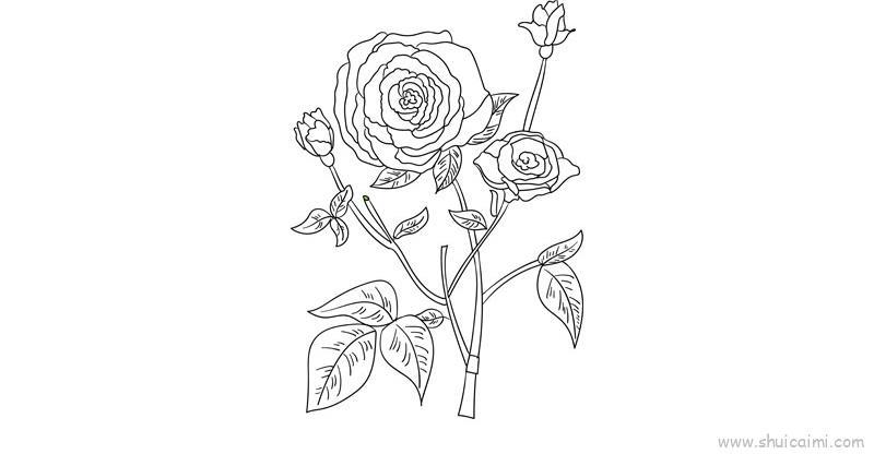 母亲节花教程儿童画怎么画 母亲节花教程简笔画画法