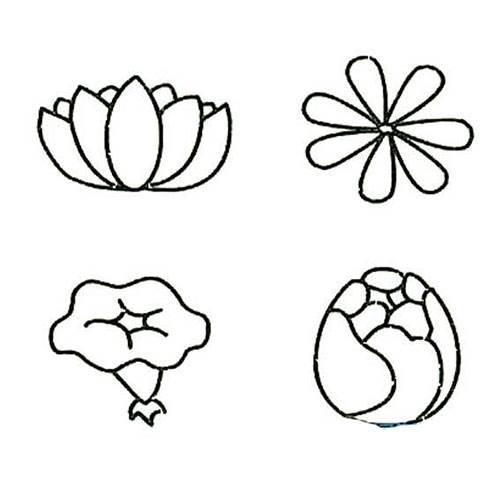 花简笔画 花简笔画罂粟花