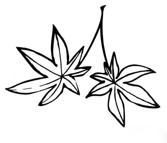 树叶简笔画 树叶简笔画简单又好看