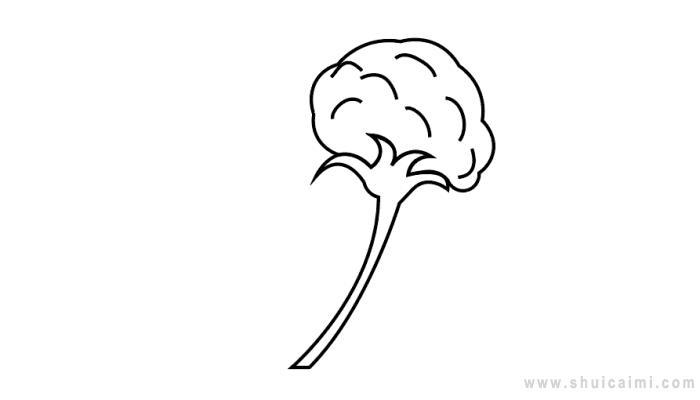 木棉花简笔画怎么画 木棉花简笔画图片大全