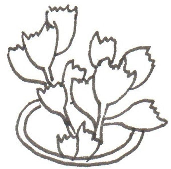 熊童子的简笔画怎么画 熊童子的简笔画图片大全