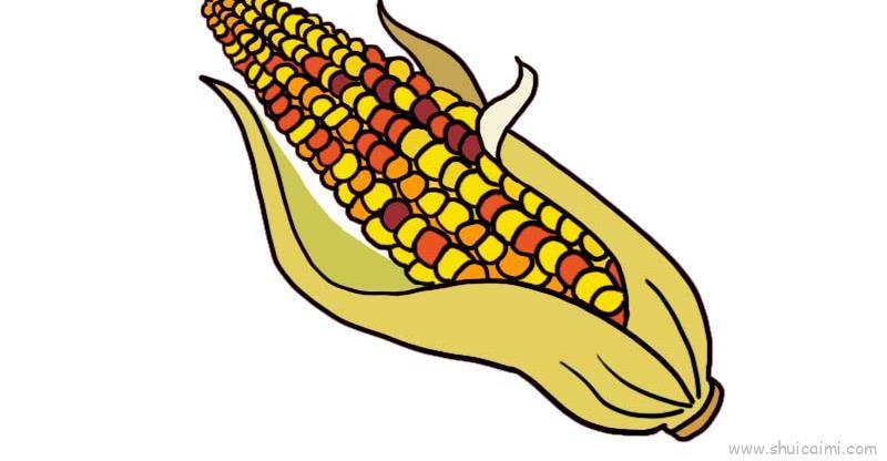感恩节玉米儿童画怎么画 感恩节玉米简笔画图片大全