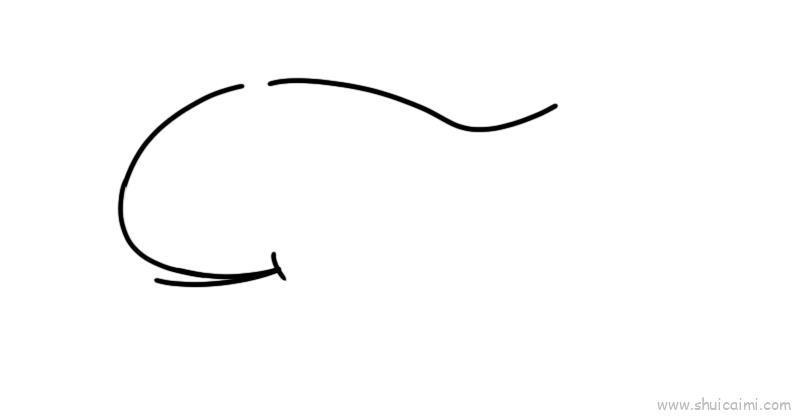鲸儿童画怎么画 鲸简笔画步骤