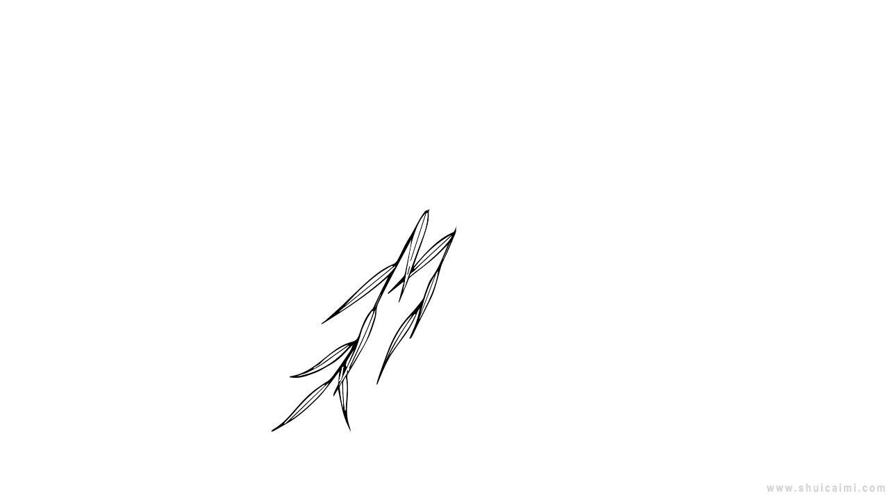 柳枝简笔画怎么画 柳枝简笔画顺序