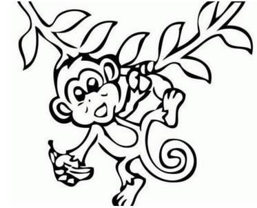 猴子简笔画图片大全 猴子简笔画图片