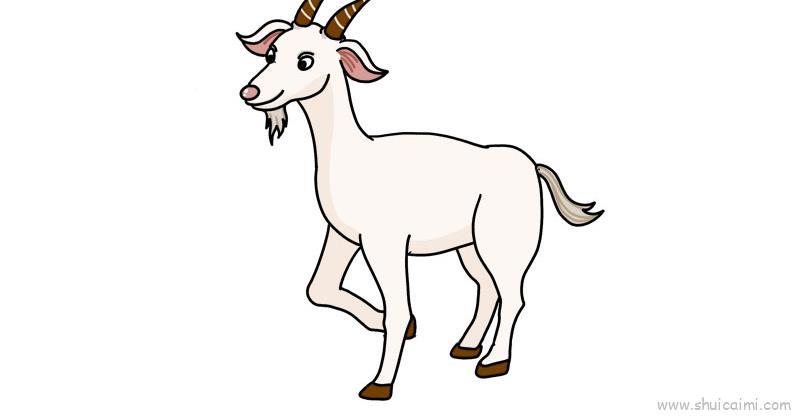 山羊儿童画怎么画 山羊简笔画画法