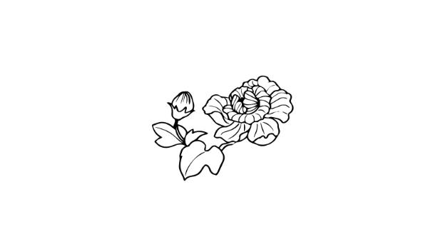芙蓉花简笔画怎么画 芙蓉花简笔画好看