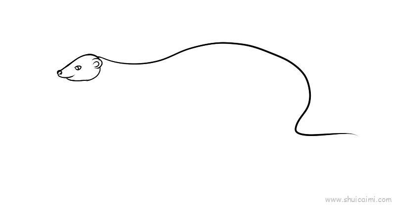 红颊獴儿童画怎么画 红颊獴简笔画好看