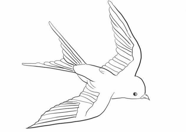 小燕子简笔画 小燕子简笔画图片