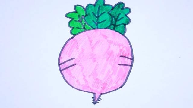 白萝卜简笔画 白萝卜简笔画图片