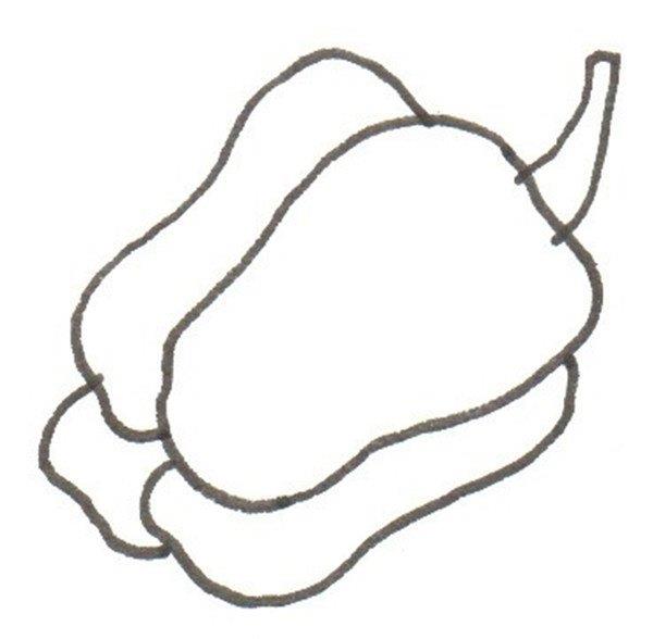 彩椒的简笔画怎么画 彩椒的简笔画图片大全