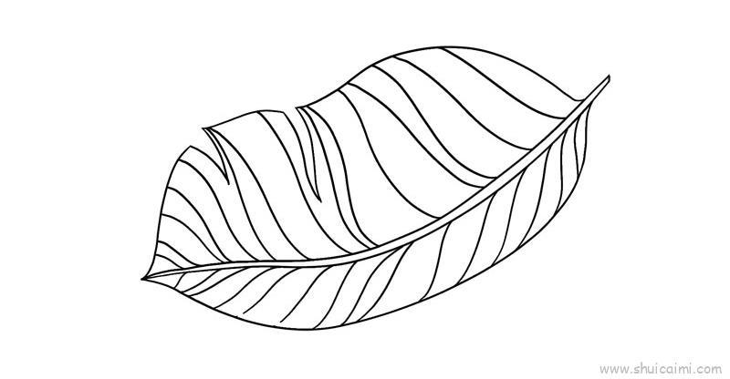 芭蕉叶儿童画怎么画 芭蕉叶简笔画顺序