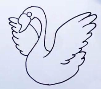 天鹅简笔画 天鹅简笔画简单又漂亮