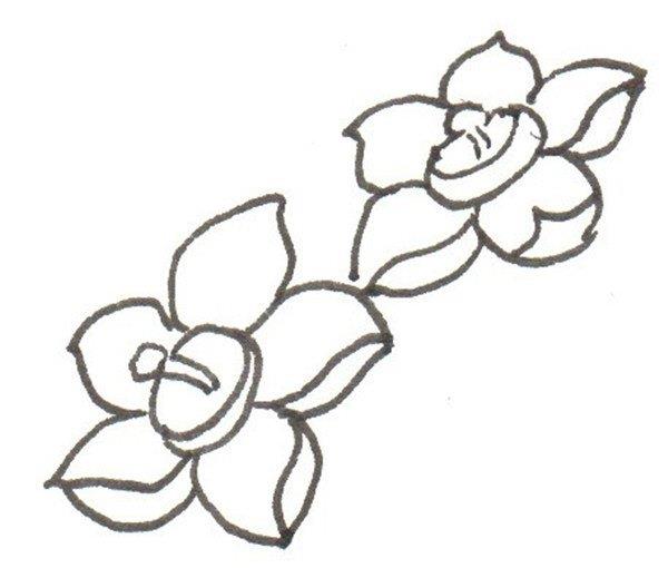 水仙花的简笔画怎么画 水仙花的简笔画步骤
