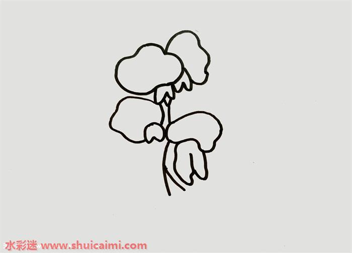 紫藤花怎么画 紫藤花简笔画画法