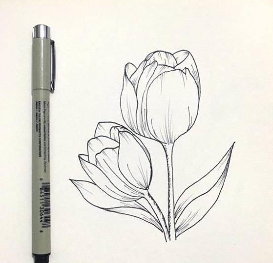 花卉简笔画 花卉简笔画图片大全