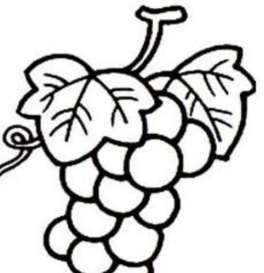 静物简笔画 静物简笔画组合