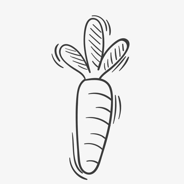 白萝卜简笔画 白萝卜简笔画图片