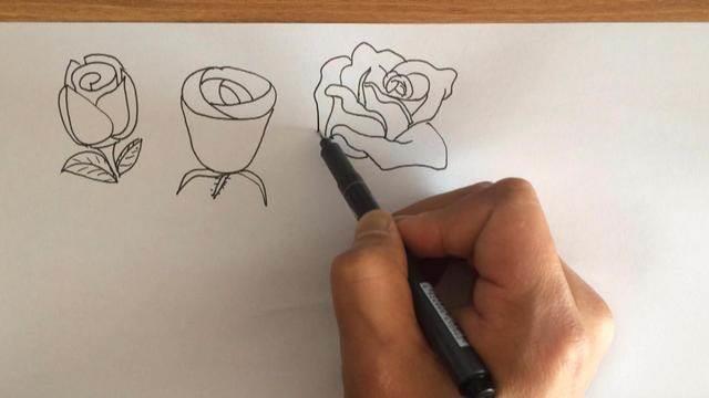 玫瑰花怎么画 玫瑰花怎么画最好看