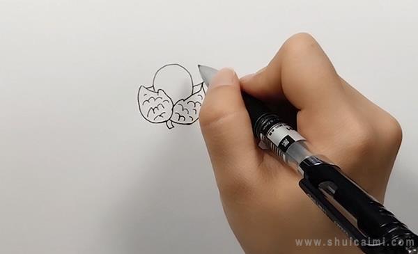 荔枝简笔画怎么画 荔枝简笔画简单