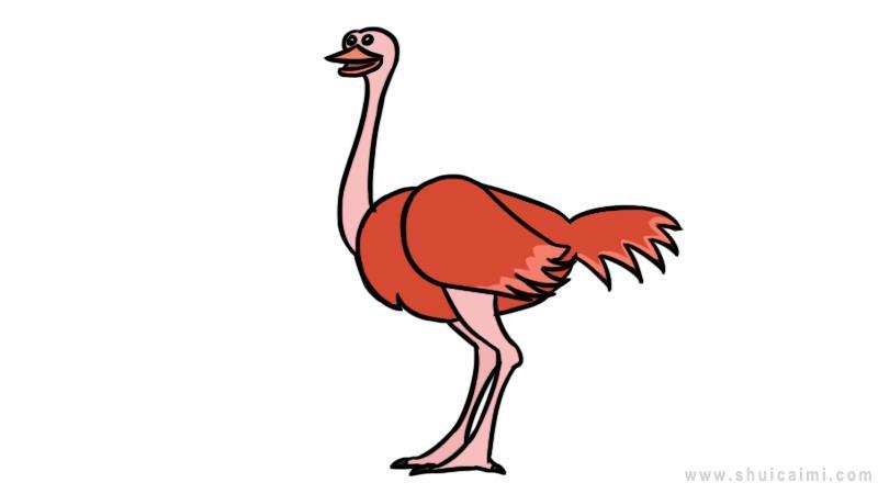 鸵鸟简笔画怎么画 鸵鸟简笔画画法