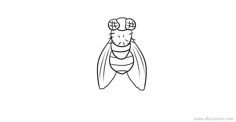 苍蝇儿童画怎么画 苍蝇简笔画简单