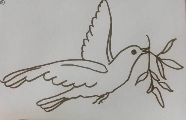 鸽子的简笔画 鸽子的简笔画怎么画