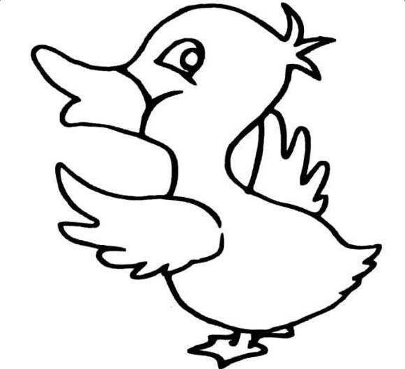 鸭子简笔画图片大全可爱 鸭子简笔画图片大全可爱带颜色