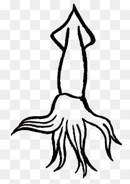 鱿鱼简笔画 铁板鱿鱼简笔画