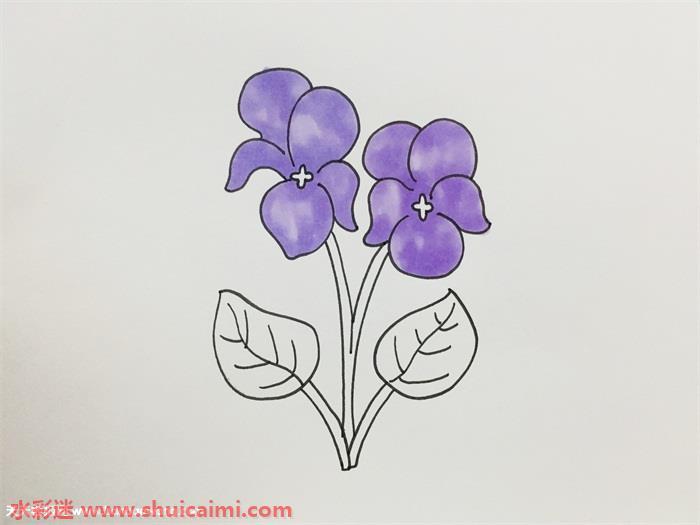 紫罗兰好看怎么画 紫罗兰简笔画步骤图