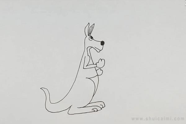 袋鼠简笔画怎么画 袋鼠简笔画好看