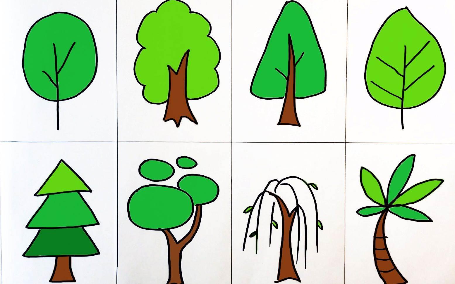 画树的简笔画图片大全 画树的简笔画图片大全带颜色