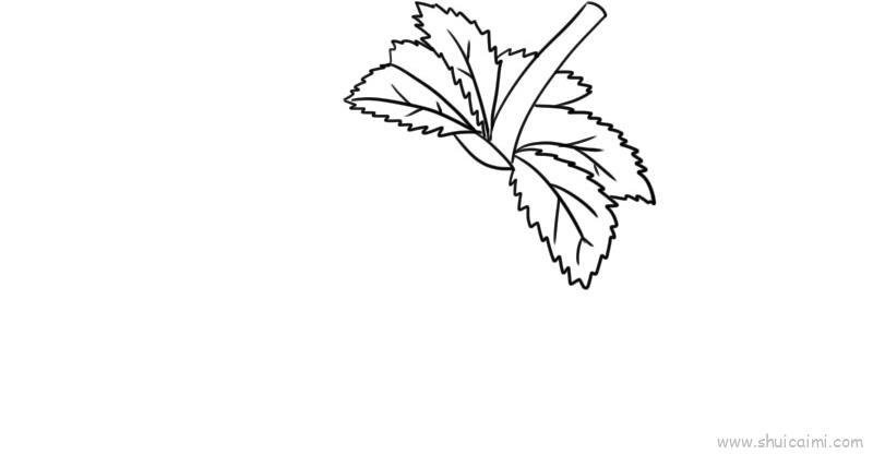 黑莓儿童画怎么画 黑莓简笔画图片